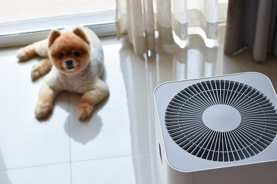 空気清浄機と犬
