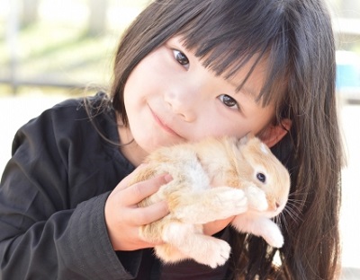 ウサギと女の子