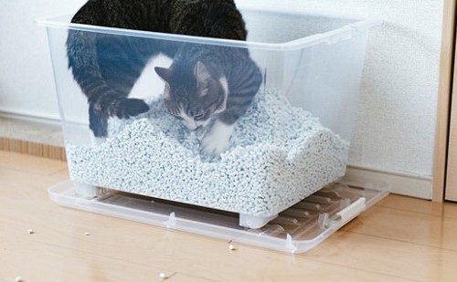 猫砂と猫