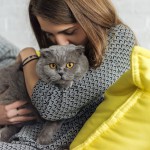 猫好きを癒やす「猫吸い」とは？猫吸いの効果と5つの注意点を解説！