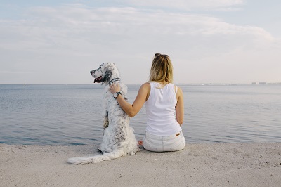 海を眺める女性と犬