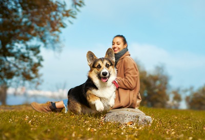 公園で休む女性と犬