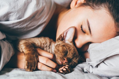 猫を抱きしめて眠る女性