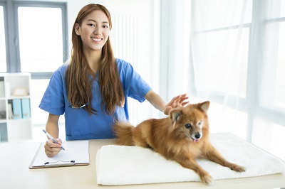 笑顔の看護師と犬