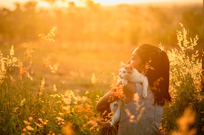 猫を肩にのせ夕日を見る女性
