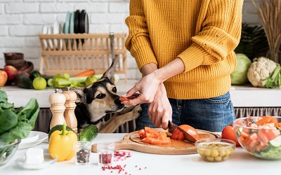 犬にトマトを与える女性