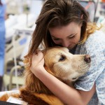 病院勤務犬って？入院患者の体と心を癒す「勤務犬」の仕事内容