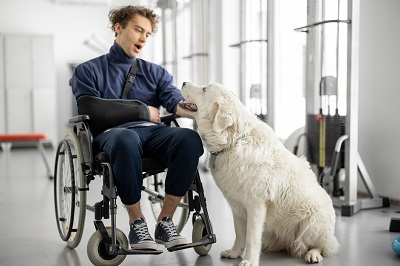 犬と触れ合う車椅子の男性