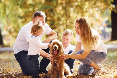 公園にいる家族と犬