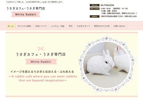 うさぎカフェ・うさぎ専門店　White Rabbit